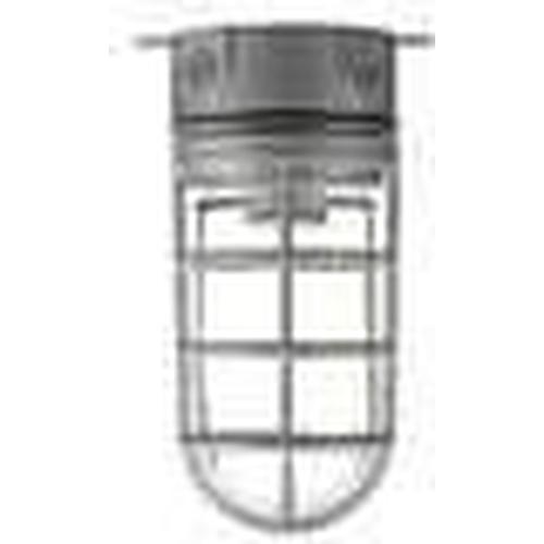 4'' VAPOURPROOF CEILING FIXTURE W/GLOBE & CAST GUARD - 100W-VISTA-VISTA-Default-Covalin Electrical Supply